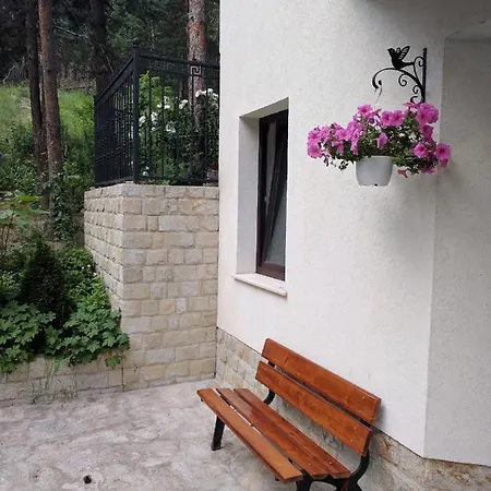 Apartment Bendida Velingrad
